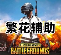 绝地求生繁花辅助（高清绘制 无脑开）