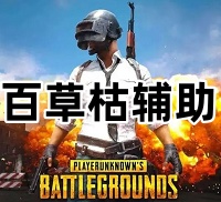 绝地求生百草枯辅助（稳定半年多，拯救市场）