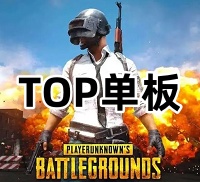 绝地求生TOP辅助（稳定单板无后）