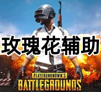 绝地求生玫瑰花辅助（高清绘制 无脑开）