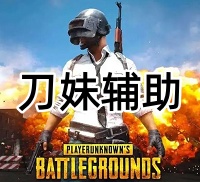绝地求生刀妹辅助（高清绘制，不动内存压）